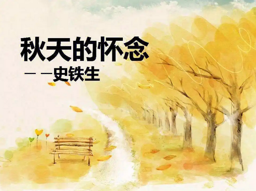 秋天的怀念