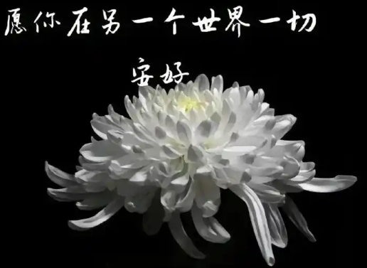 来源网络(配图)